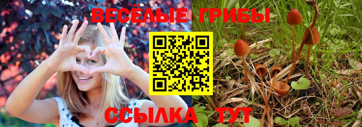 Воркута  Галлюциногенные грибы прущие грибы  Галлюциногенные грибы ЛСД  Вход с VPN 